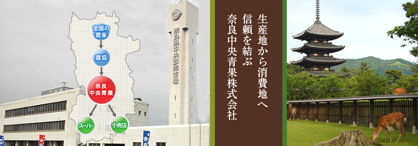 生産地から消費地へ　信頼を結ぶ　奈良中央青果株式会社